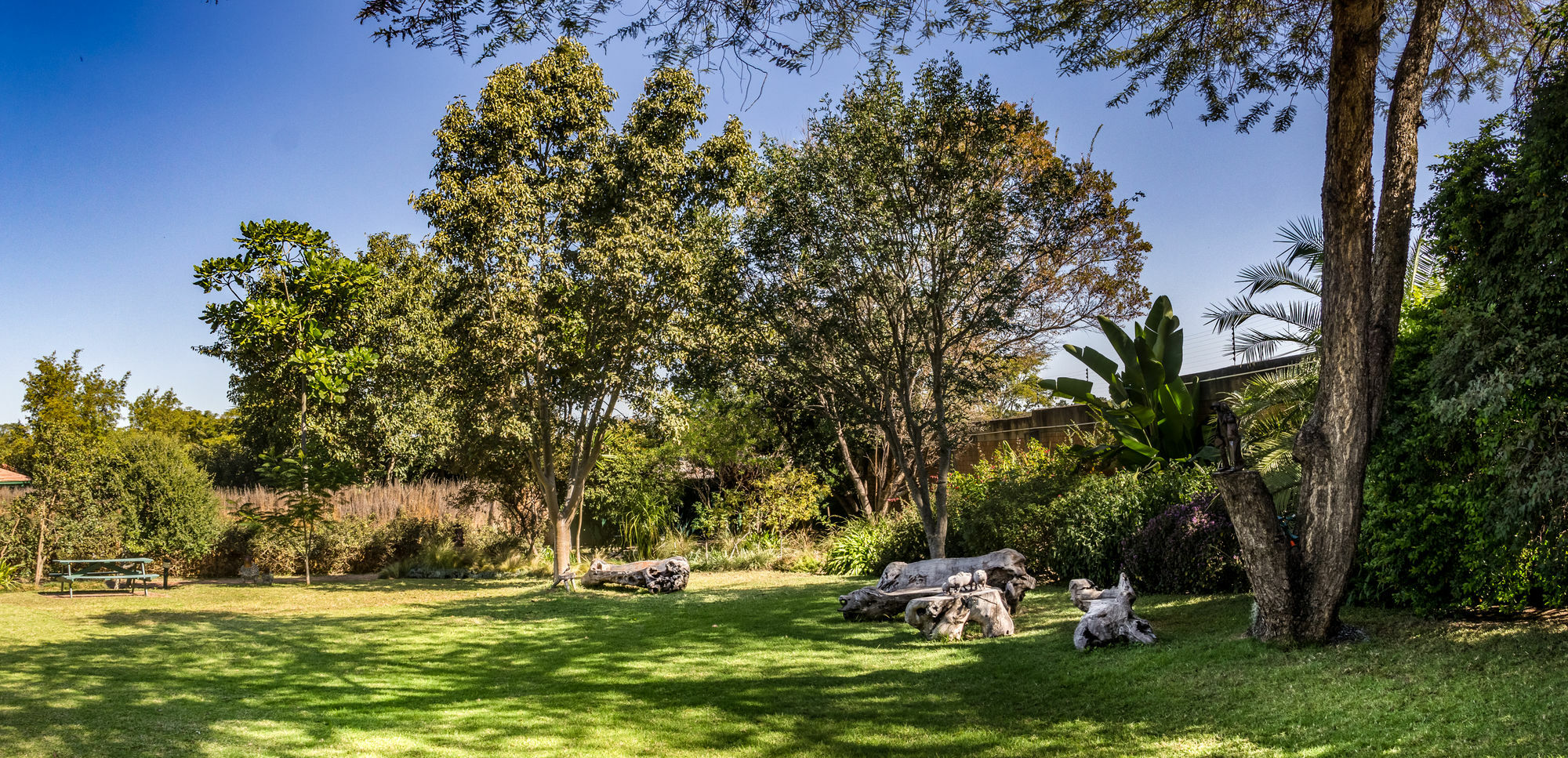 Jacana Gardens Harare Exterior photo